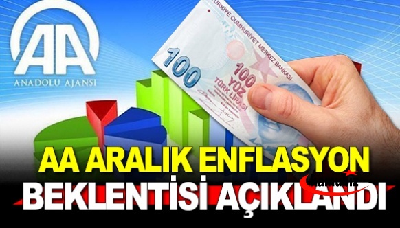 Anadolu Ajansı Aralık enflasyon anketi açıklandı! Ekonomistlerin beklentisi yüzde 2,61 oldu