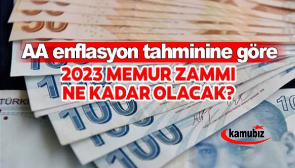 Anadolu Aajansı enflasyon tahminine göre memur maaş zammı ne kadar olacak?
