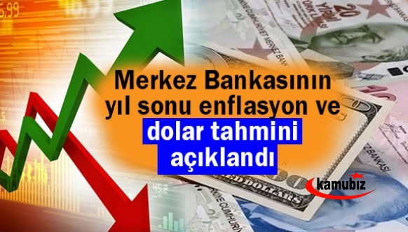 Merkez Bankasının, yıl sonu dolar ve enflasyon tahmini açıklandı!
