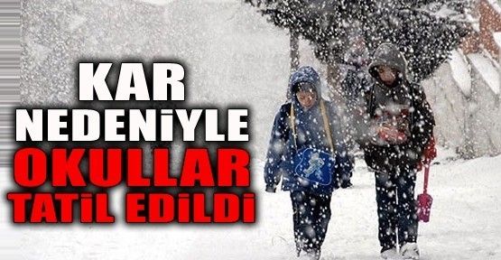 Anadolu Ajansından 45 ilde okullara kar tatili haberi