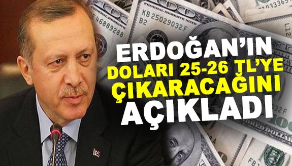 Erdoğan'ın doları 25-26 liraya çıkaracağını açıkladı