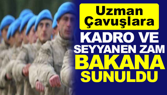 Uzman Çavuşlara seyyanen zam ve kadro talebi Bakan'a sunuldu