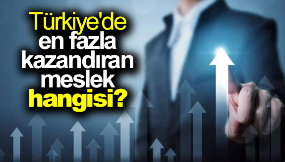 Türkiye'de aylık en fazla kazandıran meslek hangisi?