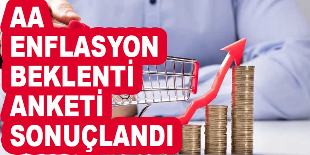 Anadolu Ajansı, Kasım ayı ve yıl sonu enflasyon tahmini belli oldu