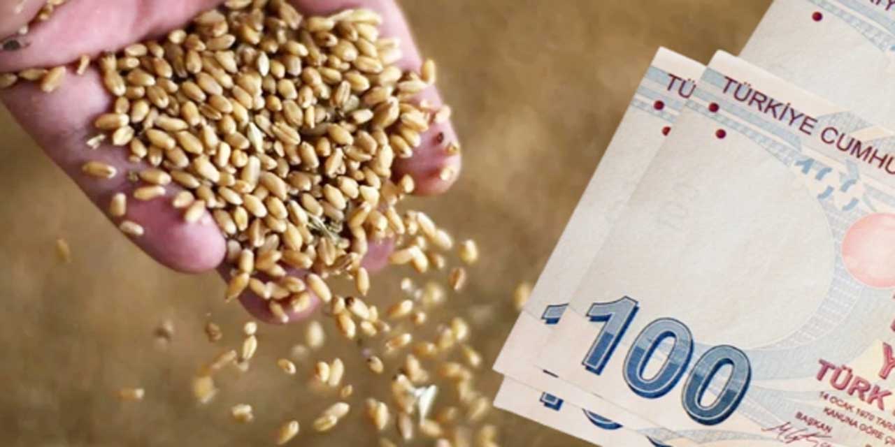 Toprak Mahsulleri Ofisi, buğday, arpa ve mısır fiyatlarına zam yaptı! İŞTE zamlı fiyat satış listesi...