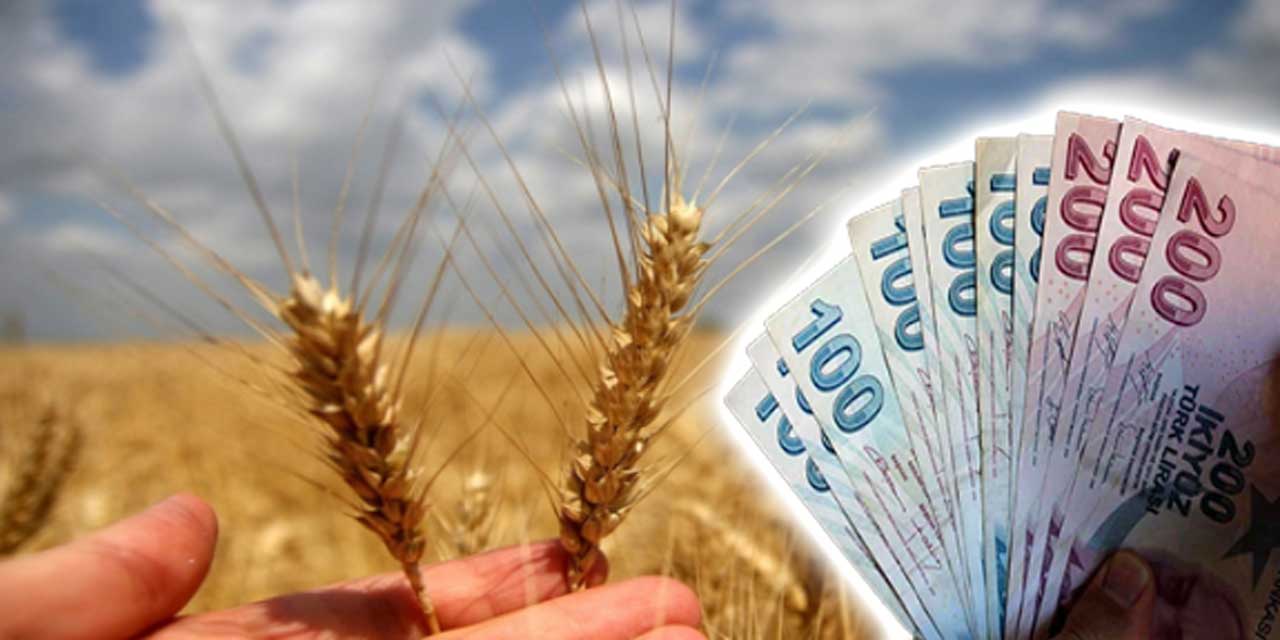 ÇİFTÇİYE kara haber geldi: Buğday fiyatları ortaya çıktı