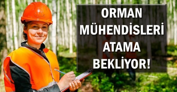 Orman Mühendisleri Atama Bekliyor!