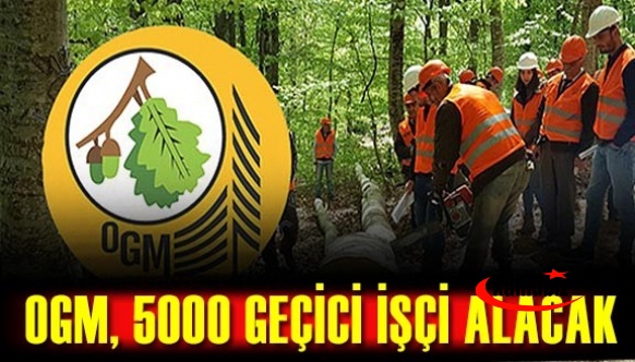 Orman Genel Müdürlüğü (OGM) İŞKUR üzerinden 5 bin geçici işçi alacak! İşte OGM işçi alımı başvuru şartları!